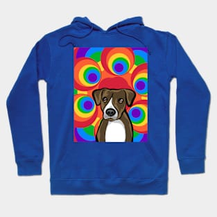 Dog Hoodie